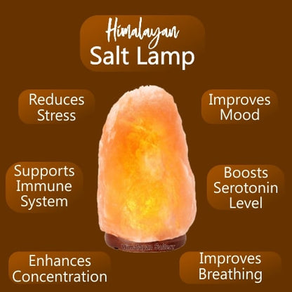 Himalayan natural Salt Lamp benefits- ZK Trading